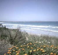 Moyne Cottage - Coogee Beach Accommodation