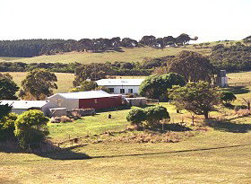 Sun Valley Eco Farm - Coogee Beach Accommodation 0