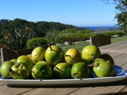The Outlook Cabana - Coogee Beach Accommodation 8