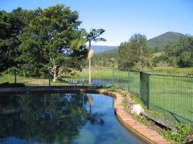 Golden Pond Retreat - Coogee Beach Accommodation 0