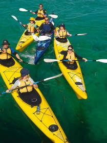 Bayplay Adventure Tours And Accommodation - Coogee Beach Accommodation 0