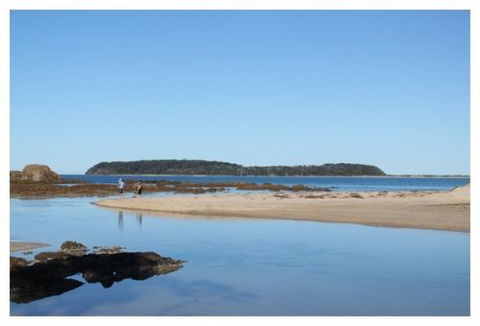 Mossy Point Holiday Rentals - Coogee Beach Accommodation 0
