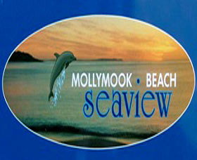A Mollymook Beach Seaview - Coogee Beach Accommodation 0