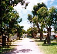 Bathers Paradise Caravan Park - Coogee Beach Accommodation