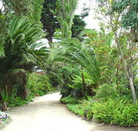 Seacove On The Beach - Coogee Beach Accommodation