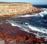 Coodlie Park - Coogee Beach Accommodation
