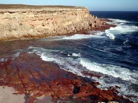 Coodlie Park - Coogee Beach Accommodation 0