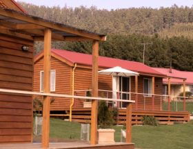 Maydena Country Cabins And Alpacas - Coogee Beach Accommodation 0