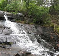 Gully Falls House - Coogee Beach Accommodation