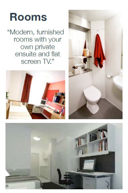 Havannah Accommodation - Coogee Beach Accommodation 1