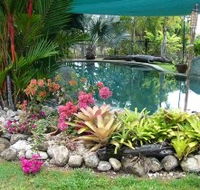 Daintree Wild Bed And Breakfast - Coogee Beach Accommodation