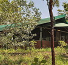 Arnhemland Barramundi Nature Lodge - Coogee Beach Accommodation