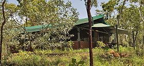 Arnhemland Barramundi Nature Lodge - Coogee Beach Accommodation 0