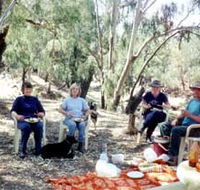 Bimbimbi And Little Hollow Farm Stay - Coogee Beach Accommodation