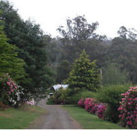 Mountain Rivers Lodge - Coogee Beach Accommodation