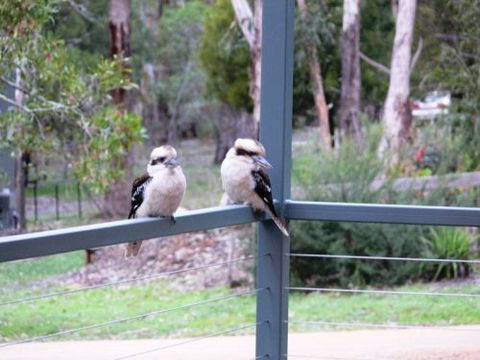 The Ripley Family Holiday Retreat - Coogee Beach Accommodation 9