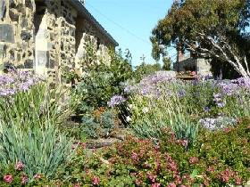 Brooklands Heritage B & B - Coogee Beach Accommodation 0