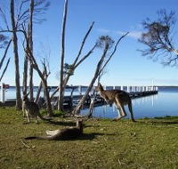 Waterfront Retreat At Wattle Point - Coogee Beach Accommodation