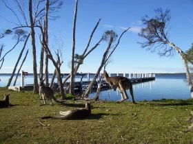 Waterfront Retreat At Wattle Point - Coogee Beach Accommodation 0