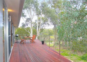 Dee Jays Studio - Coogee Beach Accommodation 0