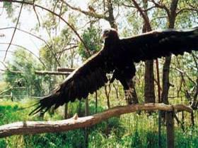 Ashton SA Coogee Beach Accommodation