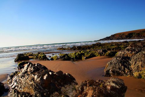 ArtHOUSE Beachfront Accommodation - Coogee Beach Accommodation 8