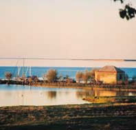 Poltalloch Station - Coogee Beach Accommodation