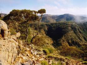 Bendleby Ranges - Coogee Beach Accommodation 0