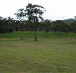 Mt White Lodge - Coogee Beach Accommodation