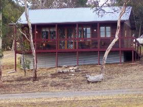 Ivybrook Vineyard Cottage - Coogee Beach Accommodation 0