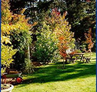 Peartree Cottage Leura - Coogee Beach Accommodation