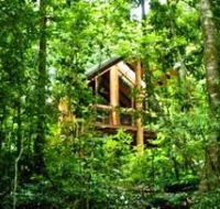 Fur'N'Feathers Rainforest Tree Houses - Coogee Beach Accommodation