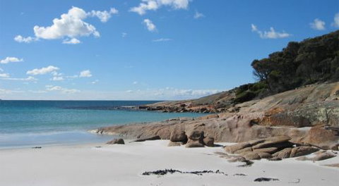 The Blue House Coles Bay - Coogee Beach Accommodation 8