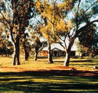 Blue Gum House - Coogee Beach Accommodation