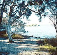The Cove - Coogee Beach Accommodation