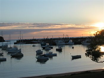 Pigeon House Motor Inn - Coogee Beach Accommodation 12