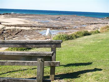 Pigeon House Motor Inn - Coogee Beach Accommodation 24