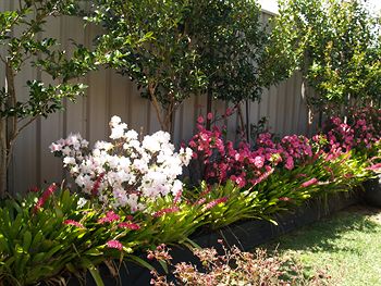 Pigeon House Motor Inn - Coogee Beach Accommodation 28