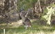 Yering Gorge Cottages By The Eastern Golf Club - thumb 6
