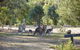 Yering Gorge Cottages By The Eastern Golf Club - thumb 13