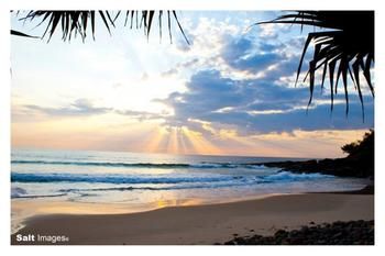 Pacific Horizons Resort - Coogee Beach Accommodation 7