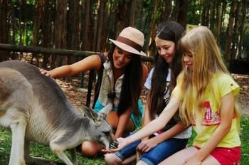 Pacific Horizons Resort - Coogee Beach Accommodation 23