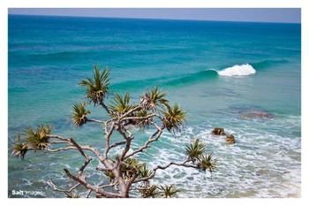 Pacific Horizons Resort - Coogee Beach Accommodation 24
