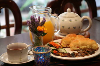 Lavender House B&B - Coogee Beach Accommodation 17