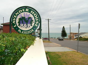 Lavender House B&B - Coogee Beach Accommodation 18