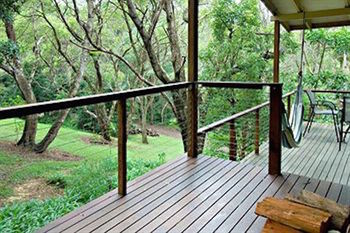 Kondalilla Eco Resort - Coogee Beach Accommodation 4