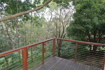 Kondalilla Eco Resort - Coogee Beach Accommodation 5