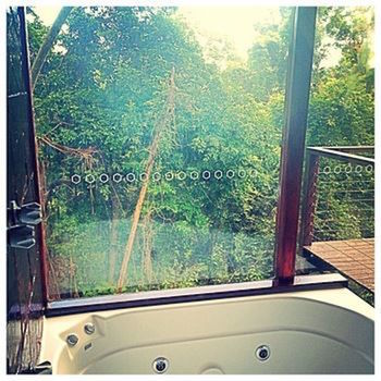 Kondalilla Eco Resort - Coogee Beach Accommodation 10