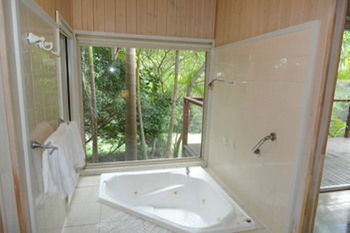 Kondalilla Eco Resort - Coogee Beach Accommodation 18