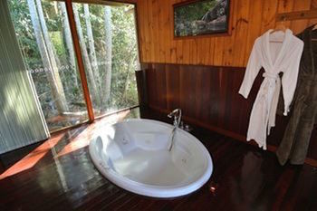 Kondalilla Eco Resort - Coogee Beach Accommodation 21